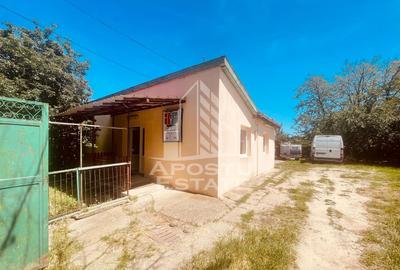 Casa de vanzare- zona Alfa, Penny - 21