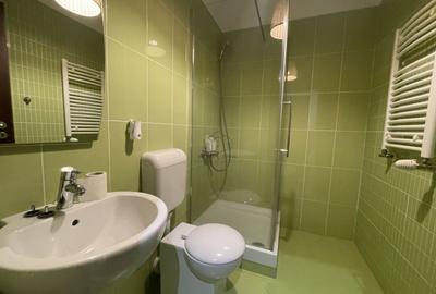 APARTAMENT SPATIOS LA INCHIRIERE IN COMPLEX REZIDENTIAL - 8