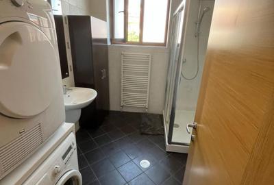 Inchirieri Apartamente 4 camere NORD CARTIERUL FRANCEZ - 11