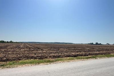 Teren de vanzare Intravilan Caciulati Autostrada A3 Drumul Teilor COMISION 0% - 7