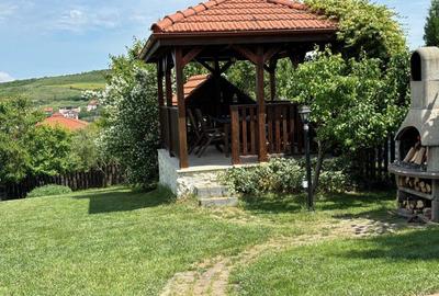 Oferta propusa de Alzza Real Estate – Casa finisata de vanzare in Cluj-Napoca, s - 11