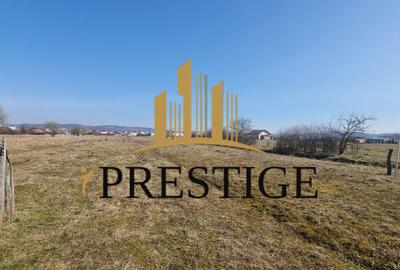 TEREN DE VÂNZARE 1000 MP ȘELIMBĂR ZONA TROIȚĂ | INVESTIȚIE - 9