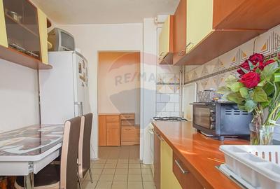 2 camere cu potențial | Zonă verde Noua | Str. Nucului 31 - 11