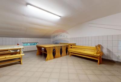 De inchiriat hala productie si birouri ,750 mp - 7