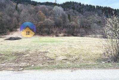 TEREN zona de munte TARCAU - 7