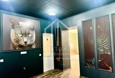 Spatiu comercial in zona central, 70mp utili, acces auto in curte - 5