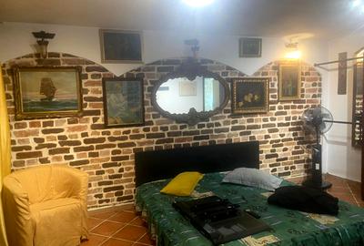 Inchirere studio cochet, zona Sisesti, la vila! - 1