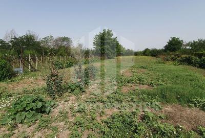 Samurcasi, acces asfaltat, toate utilitatile - 1