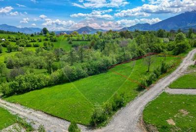 Teren 500mp-1000-2000mp, intravilan, intre Bran si Zarnesti (Tohanita) - 8
