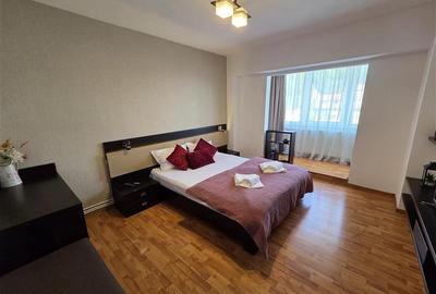 Apartament spatios cu 2 camere Parcul Trandafirilor Racadau - 18