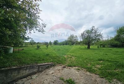 Teren 5,350mp Dobreni / Strada Manastirea Horaita - 21