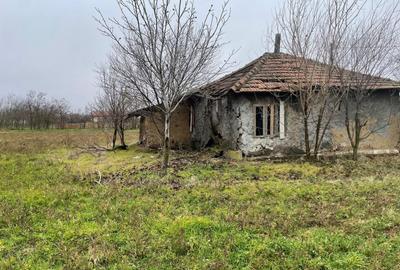 Teren intravilan 3367 mp cu casa demolabile 54 mp puț existent! - 1