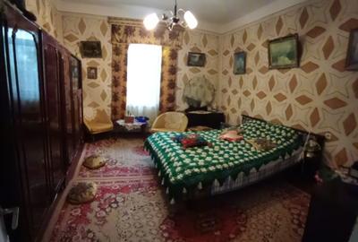 Harsova-CETATEA CARSIUM- casa boiereasca - 6