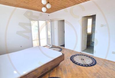 Casa Pitesti Exercitiu zona centrala - 8