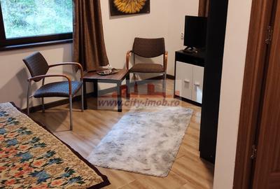 Vanzare Pensiune , Casa ,  Rezervatia Piatra Craiului / Satic, Arges - 23