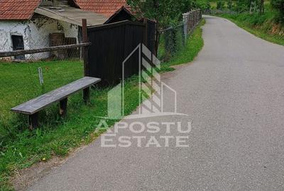 Casa batraneasca de vanzare, 4 camere, in Hunedoara, sat Micanesti - 27