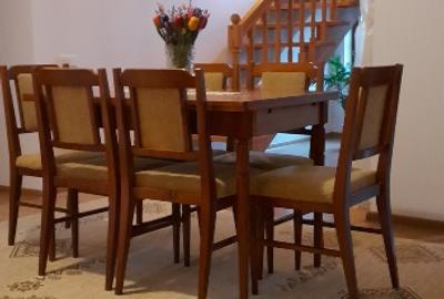 Vilă unică în Centrul Sucevei - 5