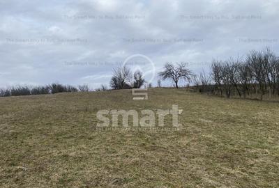 Teren intravilan cu CF 5400mp front 17 Savadisla jud Cluj - 11