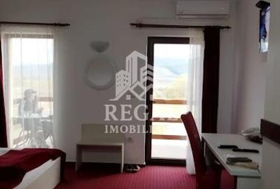 Pensiune de vânzare – proprietate complet funcțională - 3