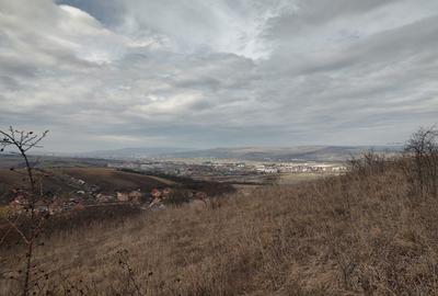 Teren intravilan 479mp in Dezmir - 15