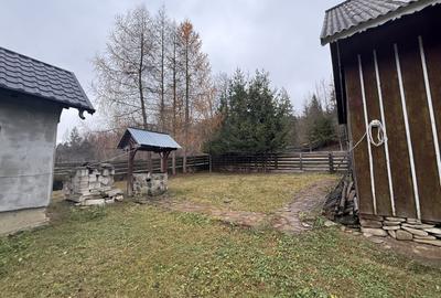 Casa Sucevița | 4.000 mp teren | Zonă liniștită - 3