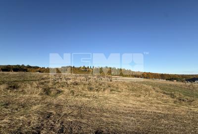 Teren intravilan | Horodnic de Sus – zona Tecioara | 2.900 mp - 3