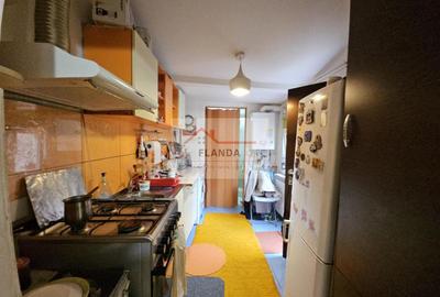 Domenii, bd.Ion Mihalache - 19