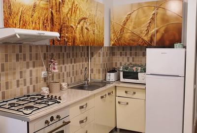 2 camere cu gradina proprie 25 mp, centrala, complex Edenia - 7