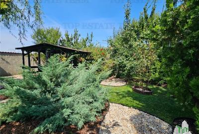 Vila superba, cu piscina, 970mp teren, D+P+E+M, gradina amenajata+pomi fructifer - 27