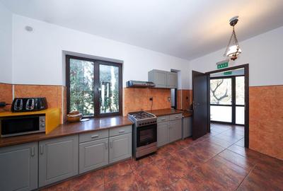 Vilă spațioasă de vânzare în Predeluț, Bran | 2000mp - 13