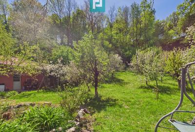 Casă Câmpani, 8000 mp teren, la poalele Apusenilor - 13