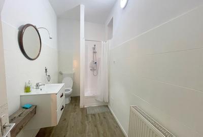 Apartament in Piata Unirii Timisoara - 12