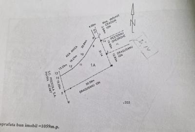 Teren - Roman -Trifesti - ieșire la lac - livada pe rod - 14