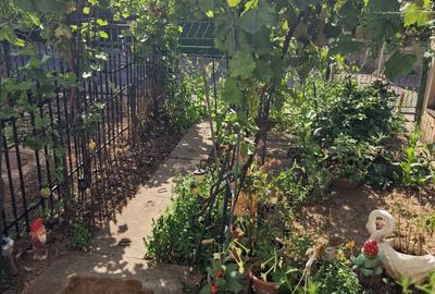 Apartament 1 camera-Gradina privata-Parcul Copou - 6