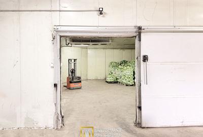 Hala industrială de vanzare Arad 540 mp, depozitare la rece, acces TIR - 1