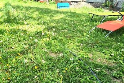 Garsoniera cu gradina in Centrul Vechi Brasov. Liniste, spatiu verde si potentia - 5
