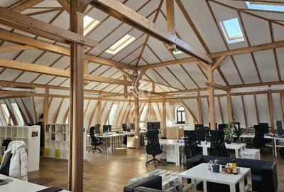 Birou, 233 mp în Universitate