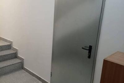 Apartament demisol 201 mp nefinisat+ 85 mp curte proprie - 11