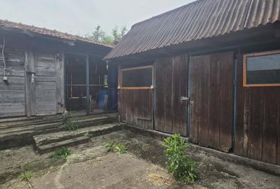 Casă cu teren 3.000 mp de vânzare, str. Adevărului-CV0529 - 22