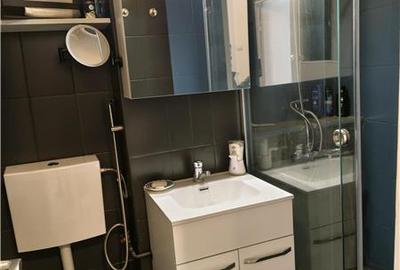 Apartament de inchiriat cu 2 camere  Fratii Buzesti - 11