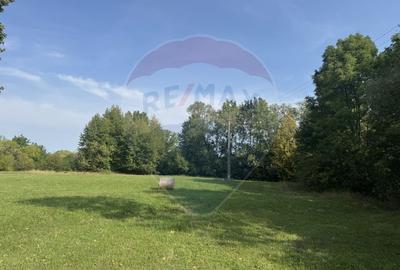 Teren 10.000 mp Calatele – Apuseni, langa rau, ideal investitie turism - 5