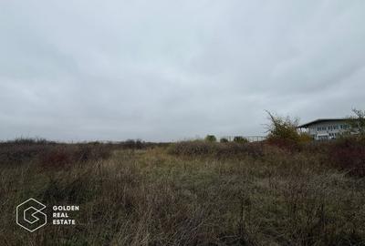 Terenuri pentru Hale si Constructii Industriale, Chișoda / Giroc,Timiș - 1