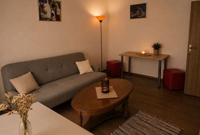 APARTAMENTUL CARE REZOLVA TOT CE CREZI CA NU POTI AVEA SIMULTAN - 3