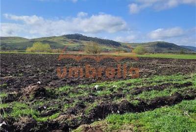 Teren de vanzare 2 parcele total 18.000m²/50€ m² Gherla ! - 4