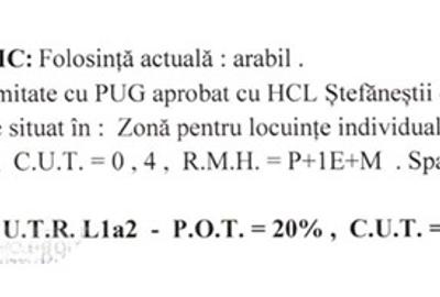 Vânzare teren 25.000 MP Intravilan Tarla 22–Ștefăneștii de Jos, Nod A3–A0 - 4
