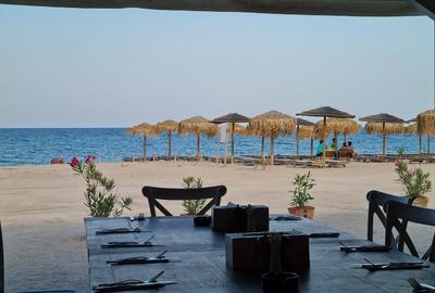 Teren 5000 mp faleza litoral Marea Neagra - 1