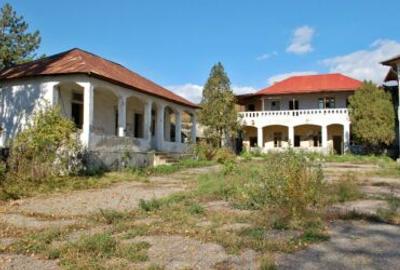Gussi-Lahovary Mansion, Leordeni Arges-Private 5.6 hectare estate - 4