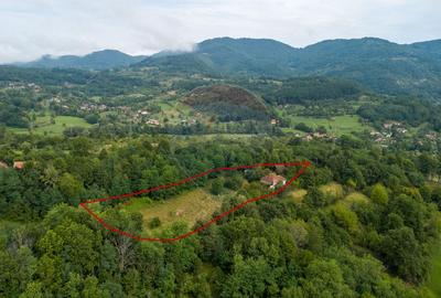 Casă individuală cu 3 camere în Ormindea