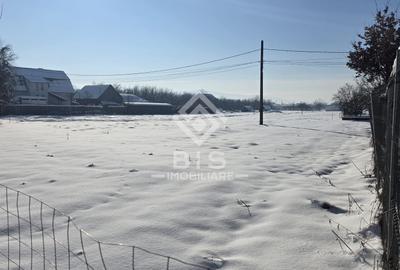 Teren cu suprafata 5300 mp intravilan - 1