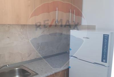 Apartament cu 1 camere de închiriat - 8